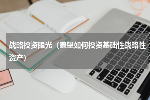 战略投资眼光（瞭望如何投资基础性战略性资产）