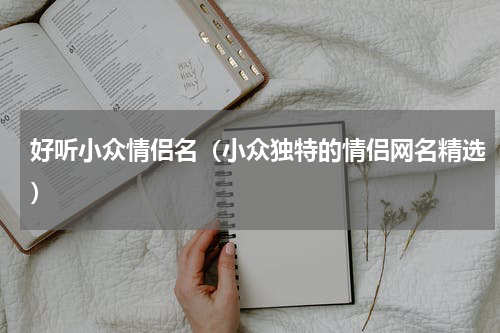 好听小众情侣名（小众独特的情侣网名精选）
