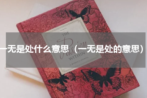 一无是处什么意思（一无是处的意思）