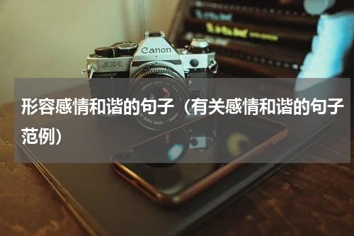 形容感情和谐的句子（有关感情和谐的句子范例）