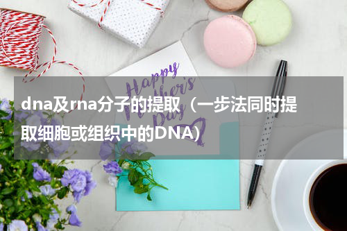 dna及rna分子的提取（一步法同时提取细胞或组织中的DNA）