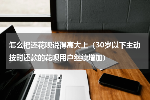 怎么把还花呗说得高大上（30岁以下主动按时还款的花呗用户继续增加）