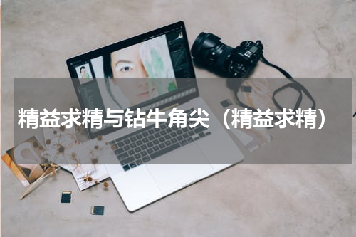 精益求精与钻牛角尖（精益求精）