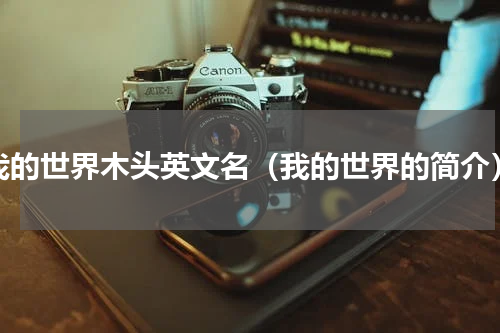 我的世界木头英文名（我的世界的简介）