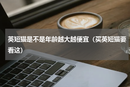 英短猫是不是年龄越大越便宜（买英短猫要看这）