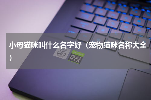 小母猫咪叫什么名字好（宠物猫咪名称大全）