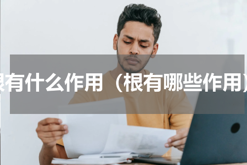 根有什么作用（根有哪些作用）