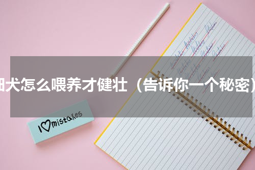 细犬怎么喂养才健壮（告诉你一个秘密）