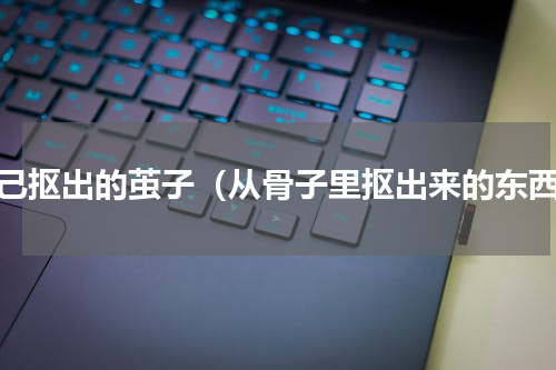 自己抠出的茧子（从骨子里抠出来的东西）