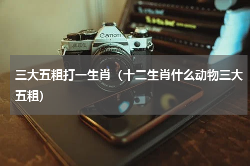 三大五粗打一生肖（十二生肖什么动物三大五粗）