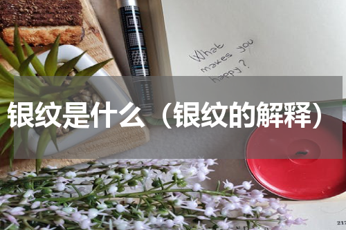 银纹是什么（银纹的解释）