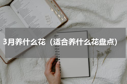 3月养什么花（适合养什么花盘点）