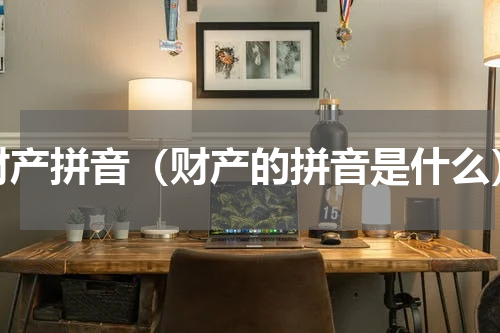 财产拼音（财产的拼音是什么）