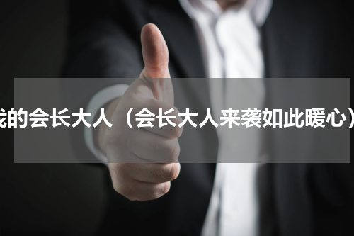 我的会长大人（会长大人来袭如此暖心）