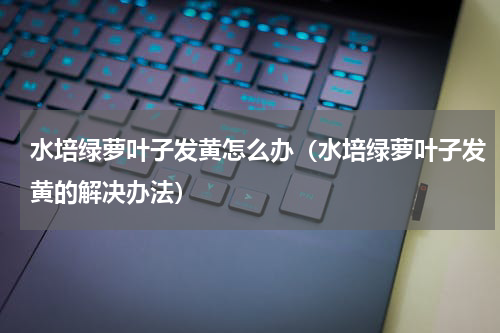 水培绿萝叶子发黄怎么办（水培绿萝叶子发黄的解决办法）