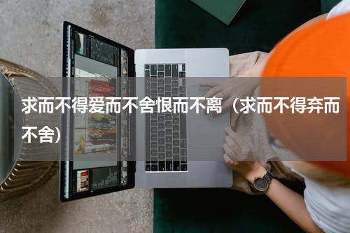 求而不得爱而不舍恨而不离（求而不得弃而不舍）