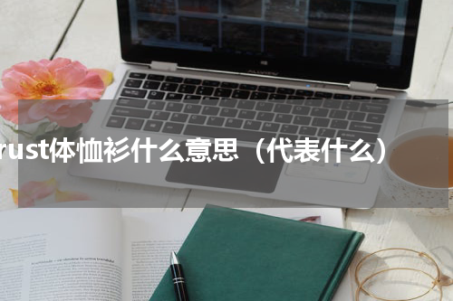 rust体恤衫什么意思（代表什么）