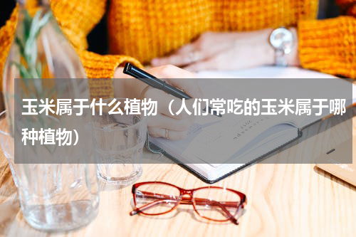 玉米属于什么植物（人们常吃的玉米属于哪种植物）