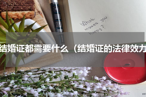 领结婚证都需要什么（结婚证的法律效力）