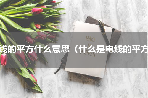 电线的平方什么意思（什么是电线的平方）