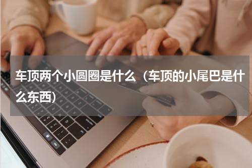 车顶两个小圆圈是什么（车顶的小尾巴是什么东西）