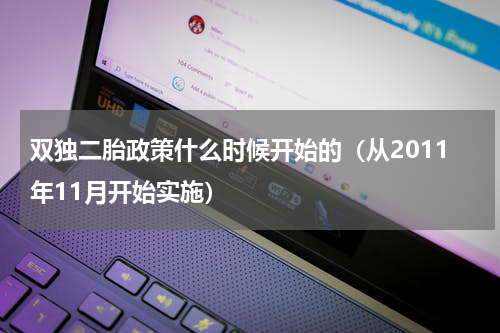 双独二胎政策什么时候开始的（从2011年11月开始实施）