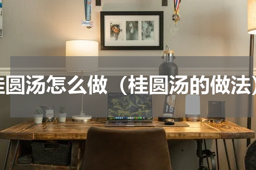 桂圆汤怎么做（桂圆汤的做法）