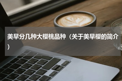 美早分几种大樱桃品种（关于美早樱的简介）