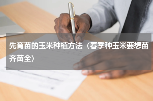 先育苗的玉米种植方法（春季种玉米要想苗齐苗全）