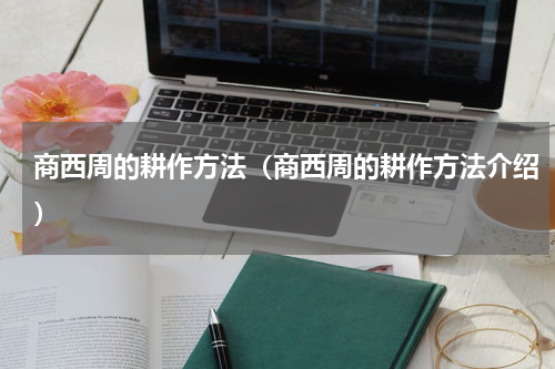 商西周的耕作方法（商西周的耕作方法介绍）