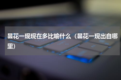 昙花一现现在多比喻什么（昙花一现出自哪里）