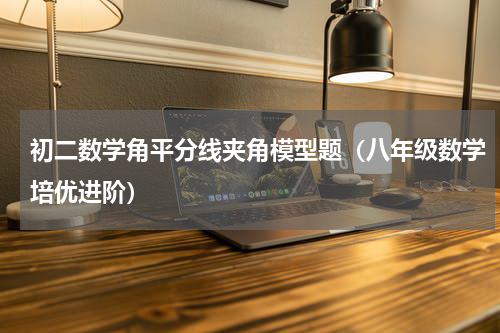 初二数学角平分线夹角模型题（八年级数学培优进阶）