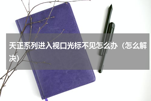 天正系列进入视口光标不见怎么办（怎么解决）