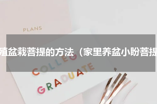 养殖盆栽菩提的方法（家里养盆小盼菩提）