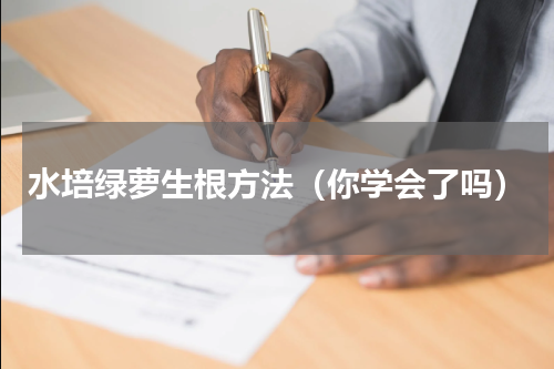 水培绿萝生根方法（你学会了吗）