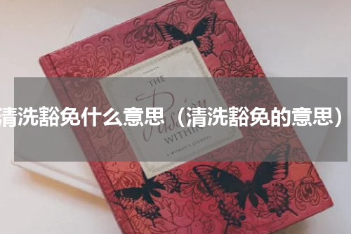 清洗豁免什么意思（清洗豁免的意思）