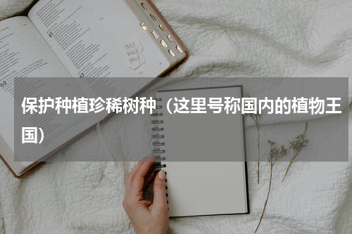 保护种植珍稀树种（这里号称国内的植物王国）
