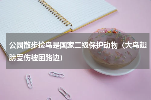 公园散步捡鸟是国家二级保护动物（大鸟翅膀受伤被困路边）