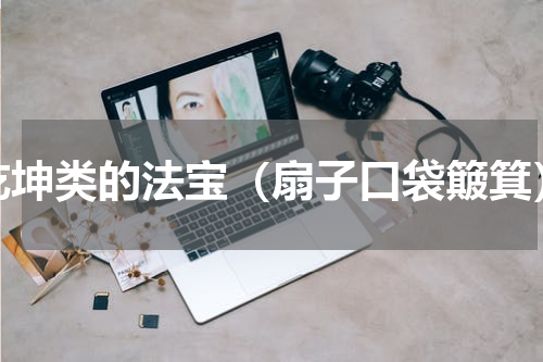 乾坤类的法宝（扇子口袋簸箕）