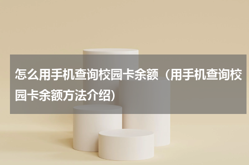 怎么用手机查询校园卡余额（用手机查询校园卡余额方法介绍）