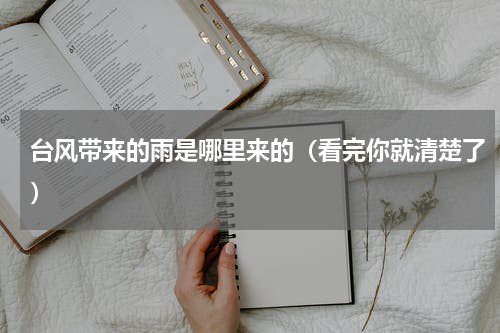 台风带来的雨是哪里来的（看完你就清楚了）
