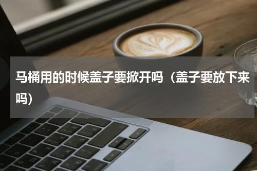 马桶用的时候盖子要掀开吗（盖子要放下来吗）