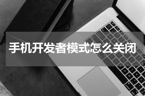 手机开发者模式怎么关闭