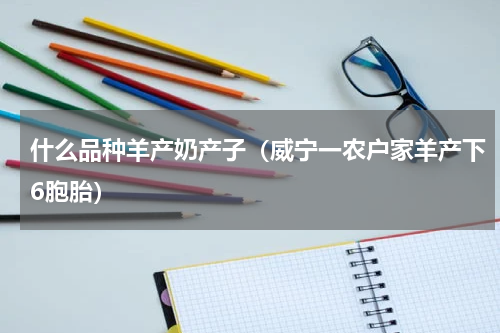 什么品种羊产奶产子（威宁一农户家羊产下6胞胎）