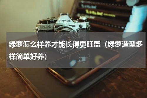 绿萝怎么样养才能长得更旺盛（绿萝造型多样简单好养）