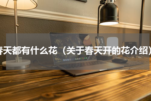 春天都有什么花（关于春天开的花介绍）