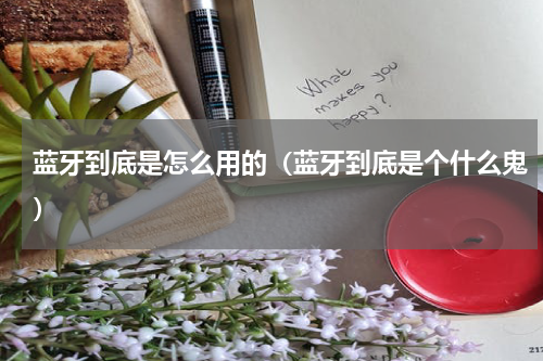 蓝牙到底是怎么用的（蓝牙到底是个什么鬼）