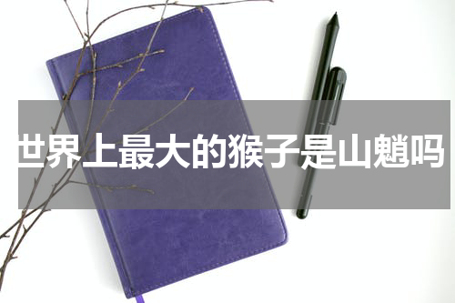 世界上最大的猴子是山魈吗