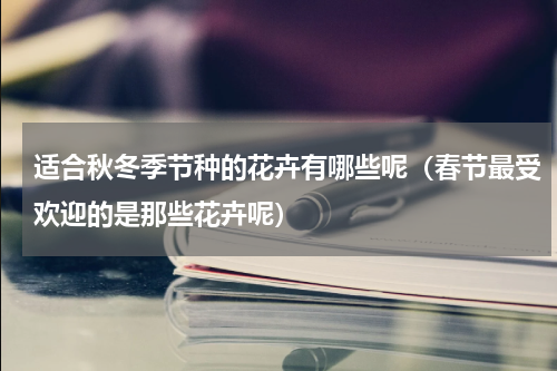 适合秋冬季节种的花卉有哪些呢（春节最受欢迎的是那些花卉呢）