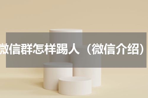 微信群怎样踢人（微信介绍）